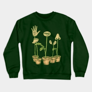 5 Senses Crewneck Sweatshirt